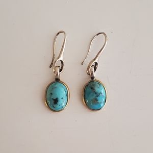 VTG Chapin & Hollister Earrings